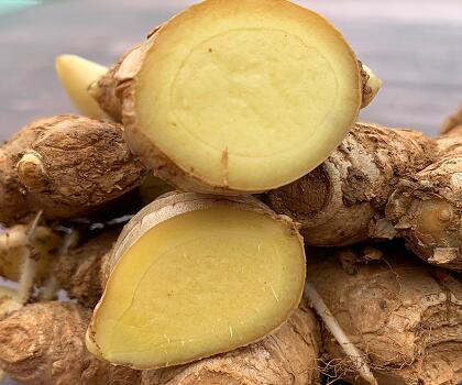 新鮮蔬菜配送:生姜